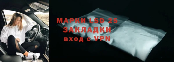 spice Пересвет