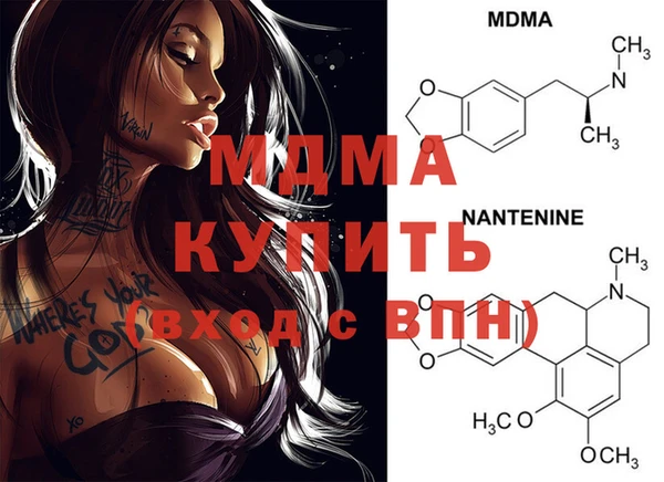 стаф Алзамай
